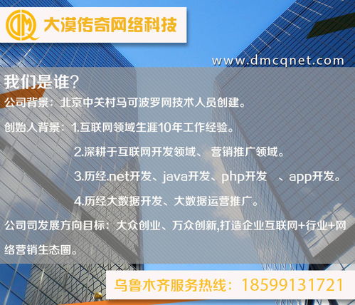 阿克蘇與烏魯木齊軟件開發(fā)及運行維護(hù)服務(wù) 技術(shù)賦能新疆?dāng)?shù)字化發(fā)展